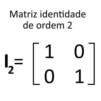 Matriz identidade de ordem 2
