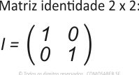 Propriedades da multiplicação de matrizes Matriz identidade 2x2